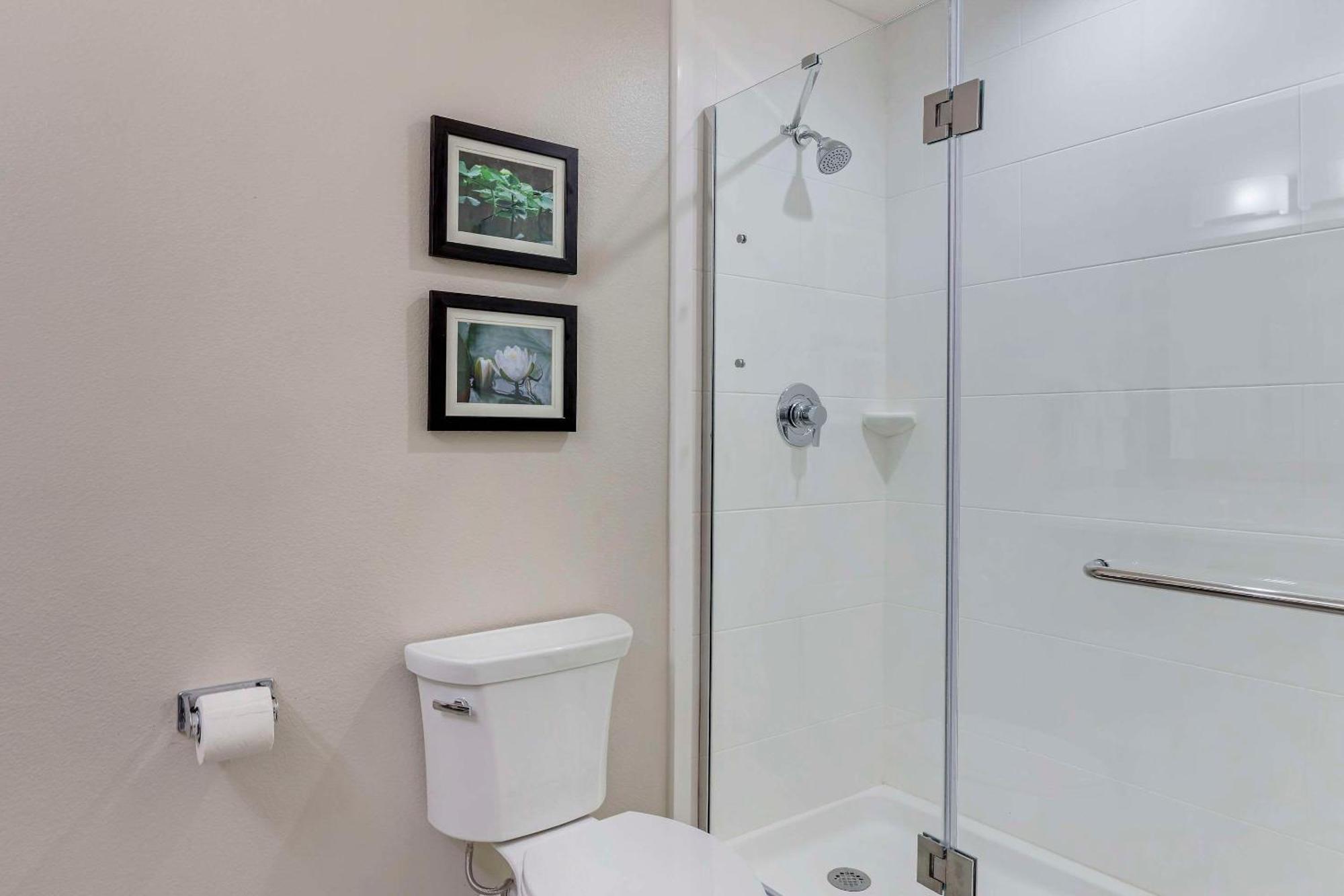 ברונסוויק Comfort Inn & Suites מראה חיצוני תמונה